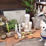 アールケイ ガーデン - 