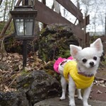 アールケイ ガーデン - 