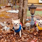 アールケイ ガーデン - 