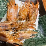 神楽坂イカセンター - 