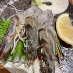 神楽坂イカセンター - 