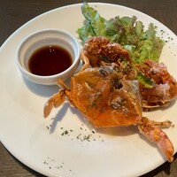 COLONIAL BEACH 横浜ハンマーヘッド - 