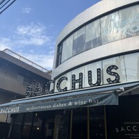表参道 バッカス - 