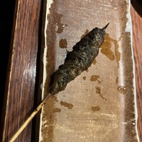 新宿うな鐵 はなれ - 