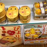 デリカ ステーション - デリカステーション名古屋コンコース店(JR名古屋駅)TMGP撮影