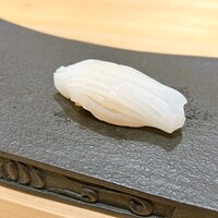 鮨 こん藤 - アオリイカ