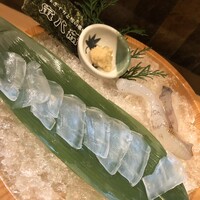 寅八商店 心斎橋店 -  寅八商店 心斎橋店 -