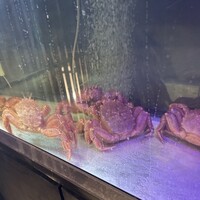 恵比寿 蟹よし - 