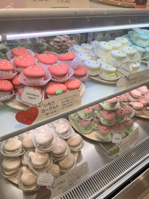 マカロン♡ 楽天市場】【ふるさと納税】手作り 人気 マカロン 10個 セット