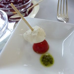 ピーク・ラウンジ - モッツァレラチーズ＆トマト、バジルソース