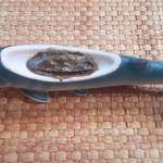 鮎正 - 苦うるか