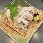 櫻バー - 穴子焼霜造り