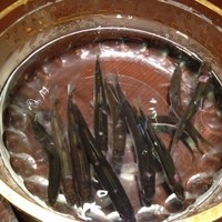 日本料理 幸庵 - 天然あゆ
