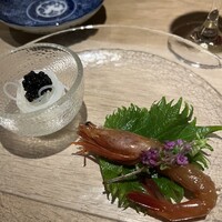 真皿 - 