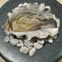 銀座 桃の木 - 