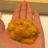 鮨処 凜 - うに