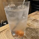酒ワイン食堂 今日どう？ - 