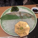 博多もつ鍋 前田屋 - 