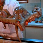 元祖たこ料理 保乃家 - 暴れるタコ