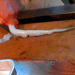 元祖たこ料理 保乃家 - さばいています