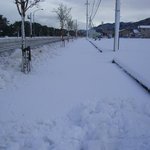 歩けない・・・