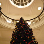 綱町三井倶楽部 - クリスマスツリー