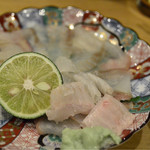 かねます - 14/7月 星鰈