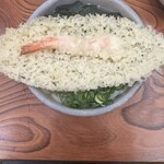 手打うどん 渡辺 - 天ぷらうどん　着丼