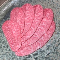 USHIGORO S. GINZA - 