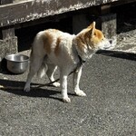 串焼き BUBU-TON - 