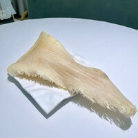REIKASAI GINZA - 気仙沼産ヨシキリザメのフカヒレ