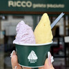リッコジェラート