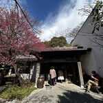 MOKICHI TRATTORIA - 外観　梅の花と古民家風