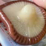 久栄堂菓子舗 - 『お雛菓子(椎茸)』