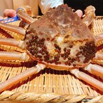 菊鮨 - 松葉ガニ