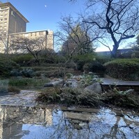 チリエージョ - 