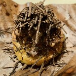 Fujiya 1935 - 熊肉と黒トリュフの軽い煮込み