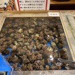 下田聚楽ホテル - 