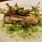 Fujiya 1935 - 白甘鯛　ベルガモット