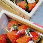 近藤いちご園 - 
