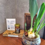 つぐもりカフェ - 卓上にある八幡屋礒五郎のガラムマサラ