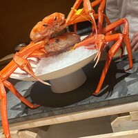 かにじぇんぬ 銀座 - 