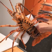 すし大 - 本日、ふたりで頂く大ぶりな伊勢海老。