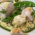 ドミニク・ブシェ トーキョー - 