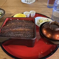 炭焼 うな富士 天白別邸 - 