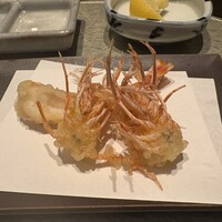 天冨良 よこ田 - 