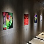 KEI Collection PARIS - 