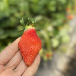 姫路ハートフル観光農園 - 