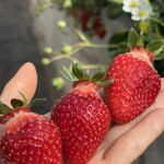 姫路ハートフル観光農園 - 