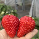 姫路ハートフル観光農園 - 